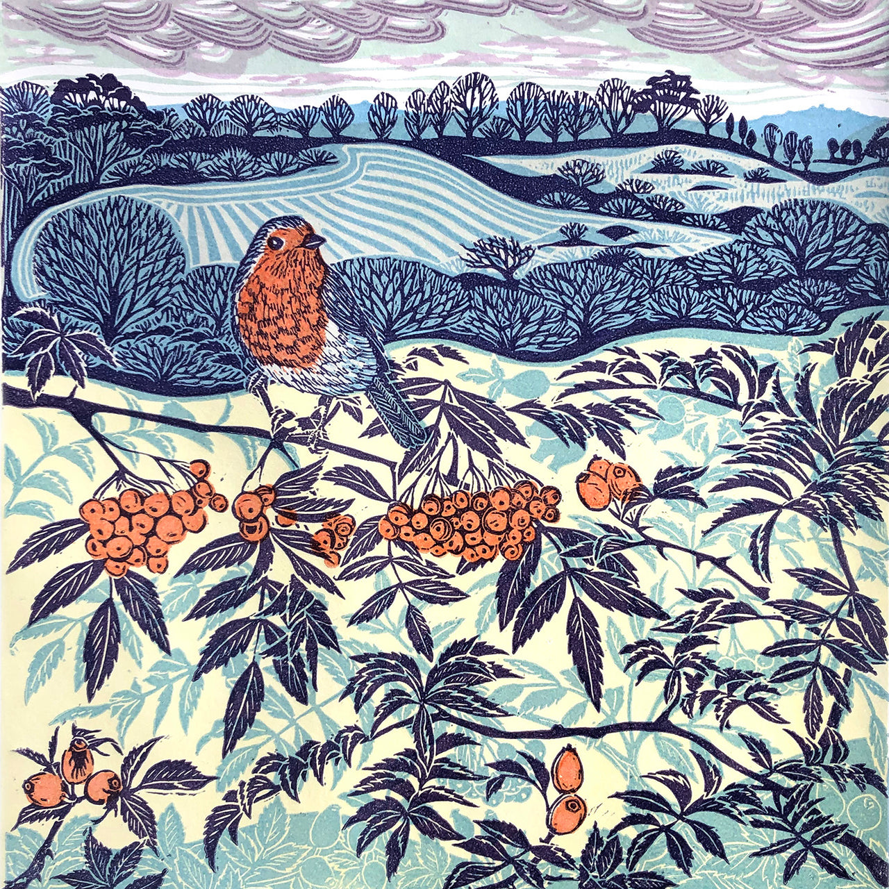 Framed lino print in blue tones with orange of robin sitting on a branch in the foreground and fields and trees in the background by Cornish artist Claire Armitage.