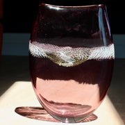 a tall purple glass vessel with centre detail by Benjamin Lintell  photographed in sunlight.