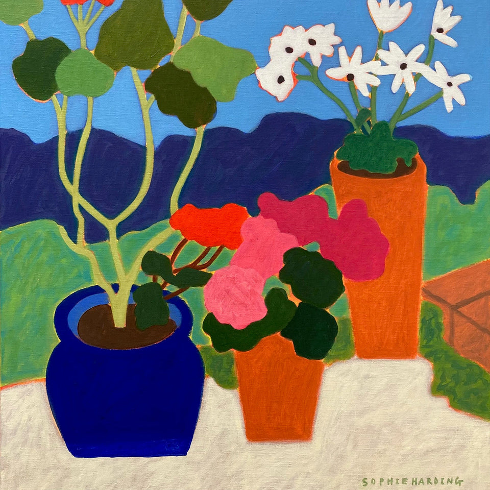 Home and Away - 25th July to 5th September 2026