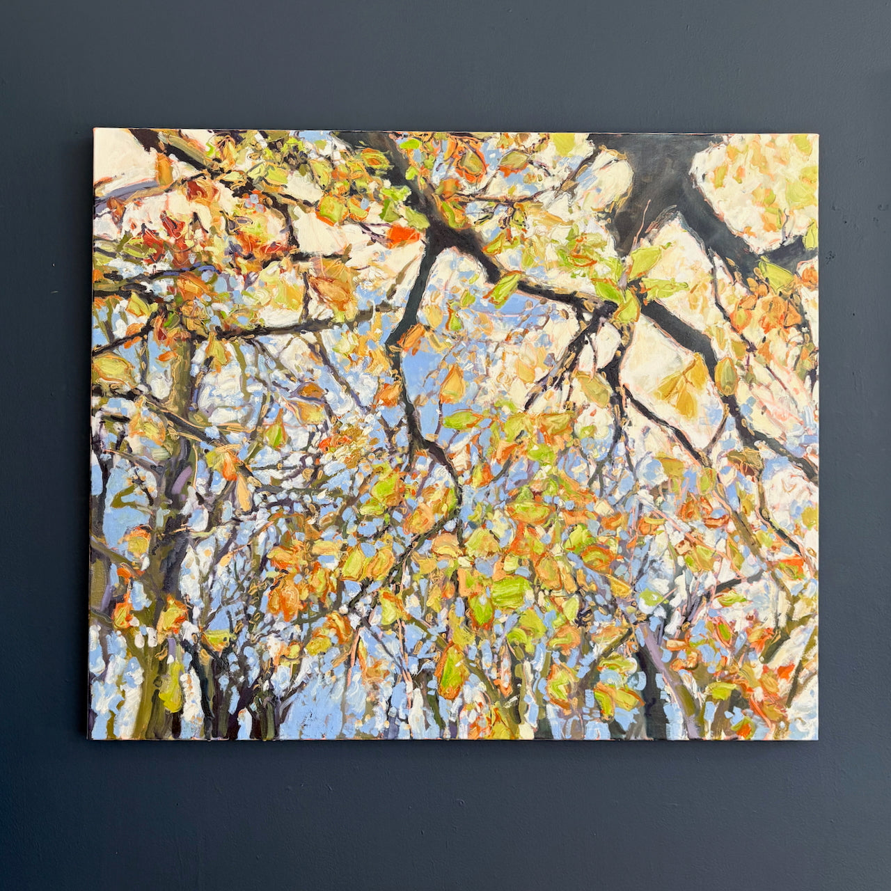 Jill Hudson - Looking Up