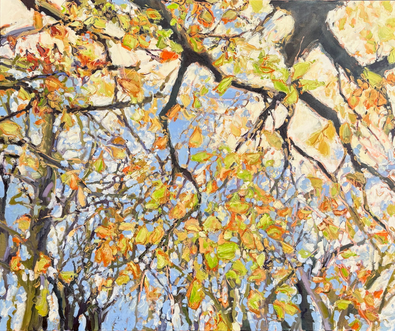 Jill Hudson - Looking Up