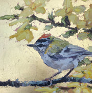 Framed square painting with gold lustre background, firecrest sitting on branch in foregound and yellow/cream blossom by artist Jill Hudson.