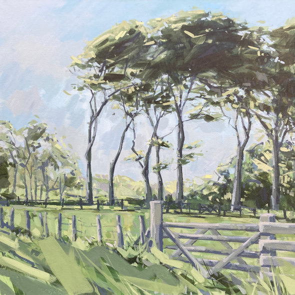 Green field with fence and gate with tall green trees in the background on blue sky by Cornish artist Imogen Bone