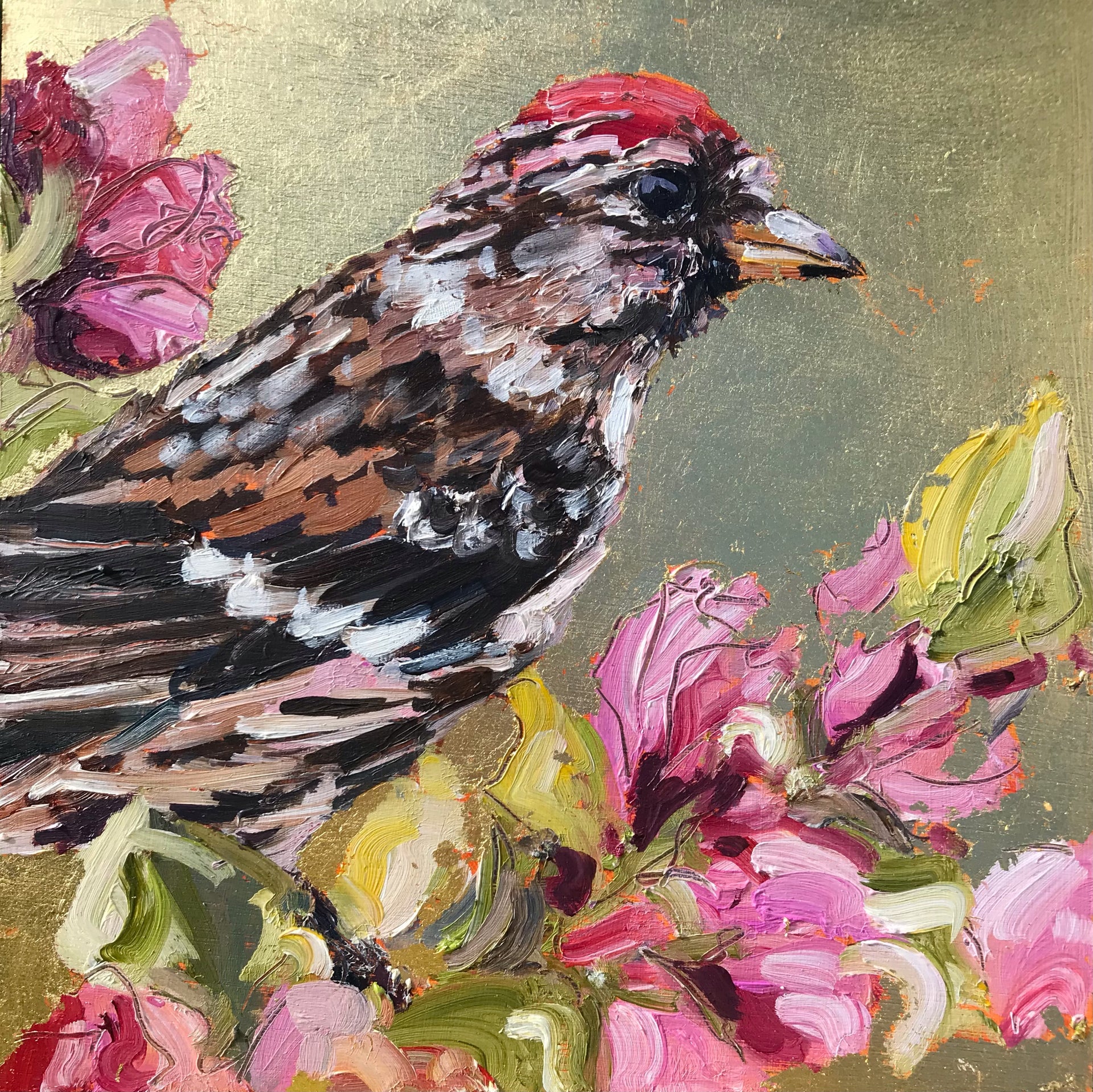 Framed square painting with redpoll on gold leaf background and pink blossom by artist Jill Hudson