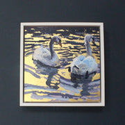 Artist Jill Hudson, two swans swimming on gold reflection water 