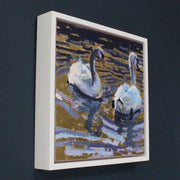 Artist Jill Hudson, square framed painting of two swans swimming on gold reflection water