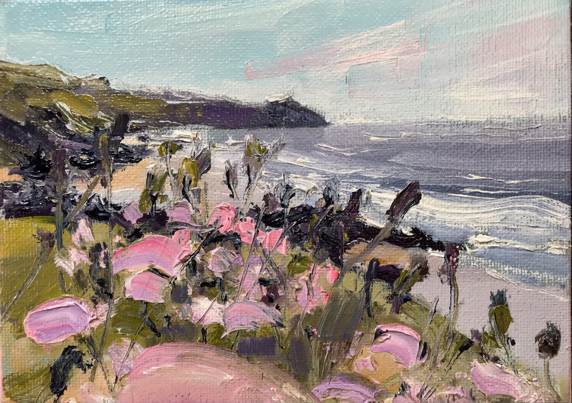 Pink and ochre flowers in foreground with ocean and headland behind by artist Jill Hudson