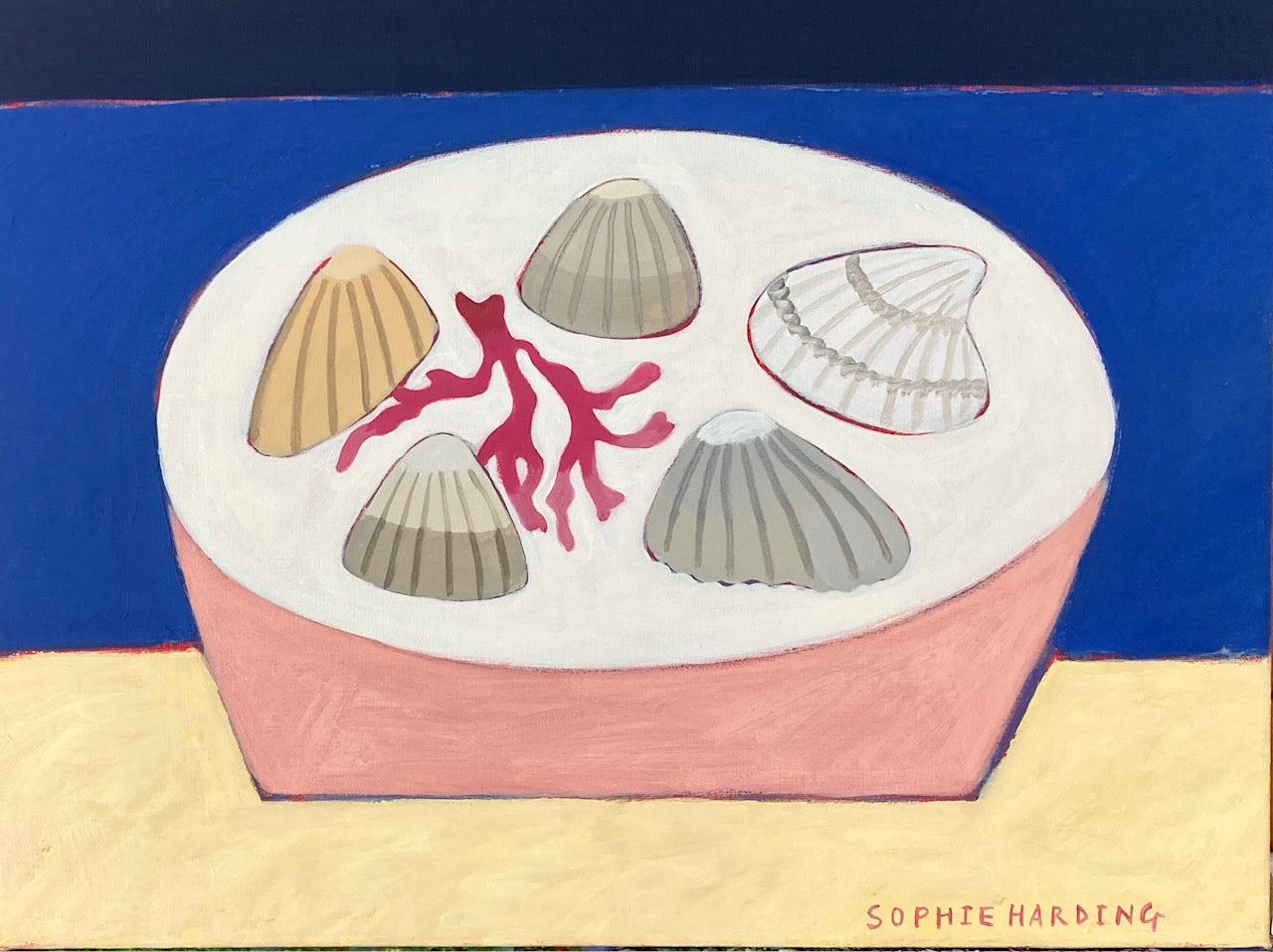 Sophie Harding - A Bowl of Shells