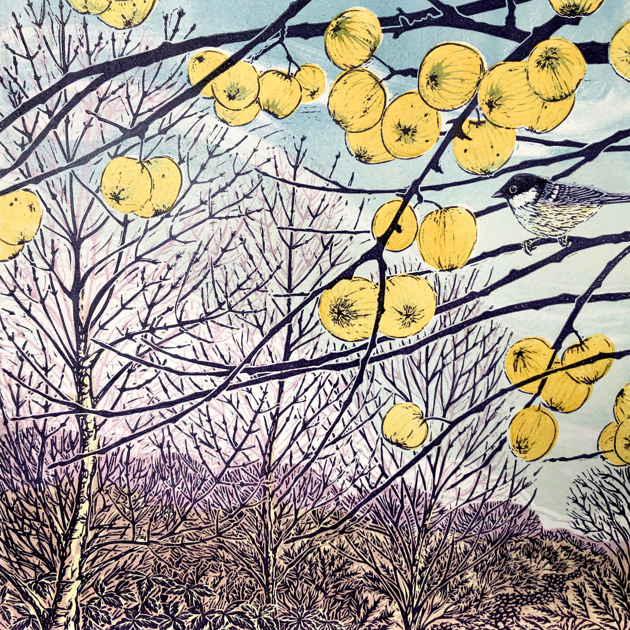 Claire Armitage - Last Apples