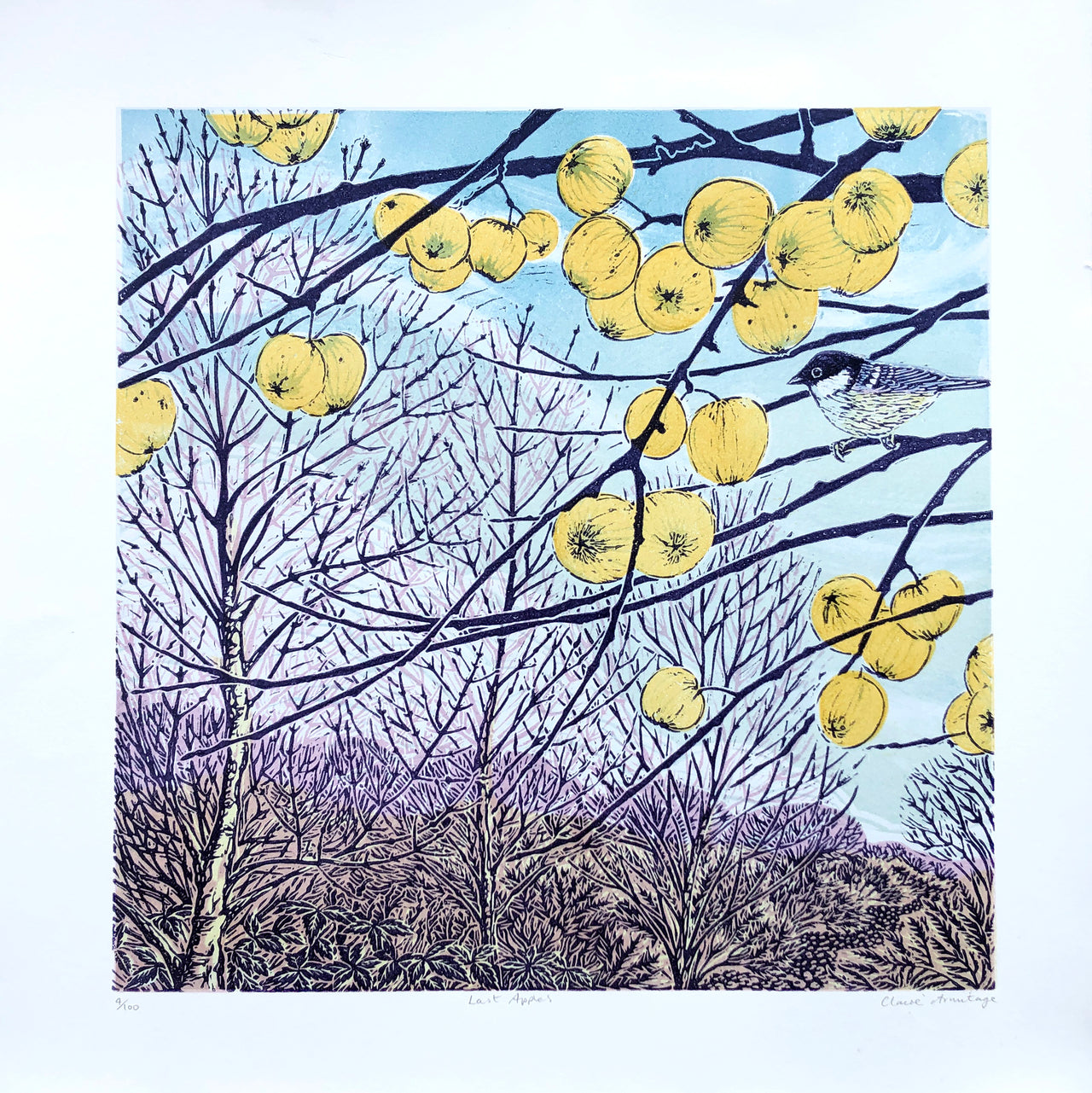 Claire Armitage - Last Apples