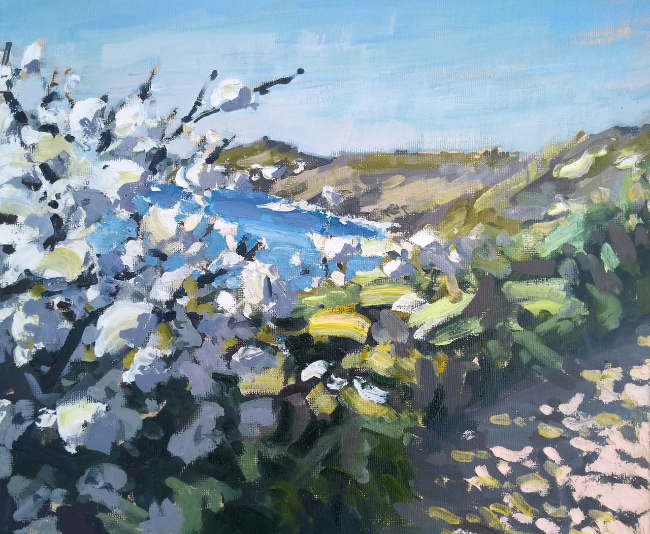 Painting called April Blossom by Jill Hudson showing white blossom on coastal path near Rame Head in south east Cornwall.