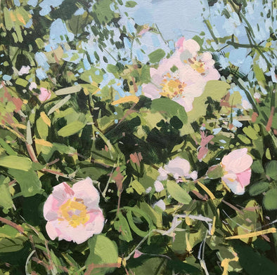 Painting of dog rose in pinks and greens by Imogen bone