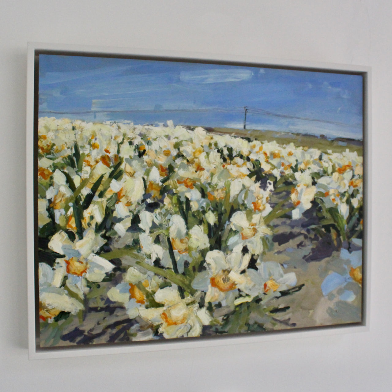 Jill Hudson - Narcissi Field