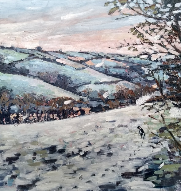 Jill Hudson oil painting of a Wintry Cornish field