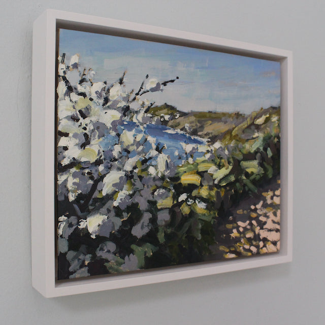 April Blossom a painting by Jill Hudson of white blossom on coastal path near Rame Head, Cornwall, England.