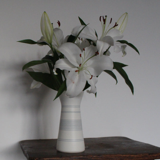 flowers in a white porcelain vase with blue ring design by Uk potter Kathryn Sherriff of By the Line Pottery .