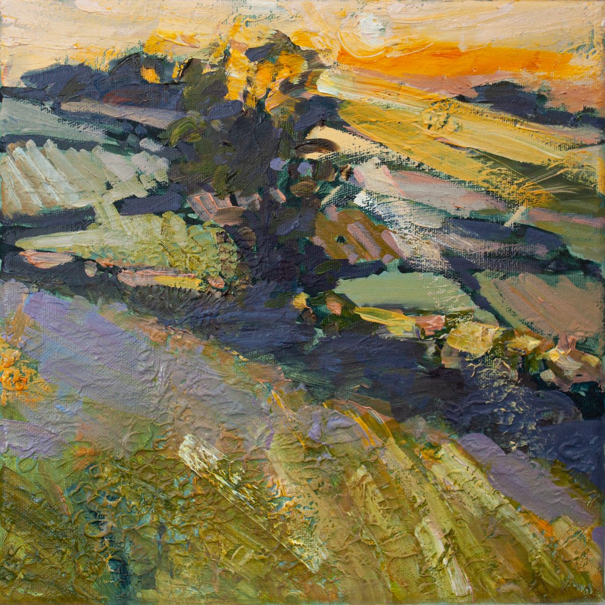 Jill Hudson oil painting of the sun setting over brightly painted fields
