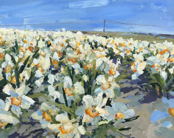 Jill Hudson oil painting of a field of narcissi with blues skies in the background