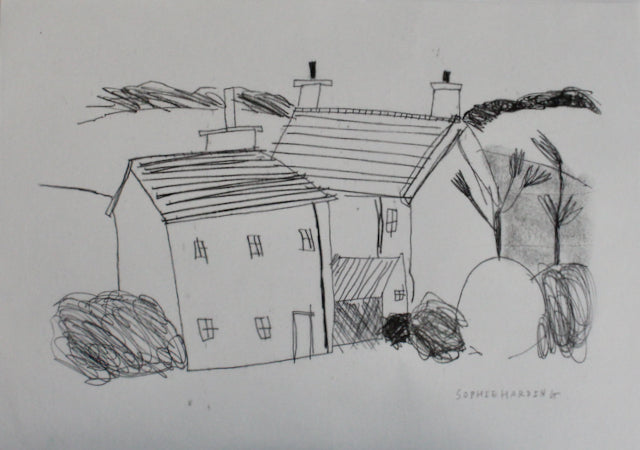 drawing in black ink on white paper of Cornish cottages by artist Sophie Harding 