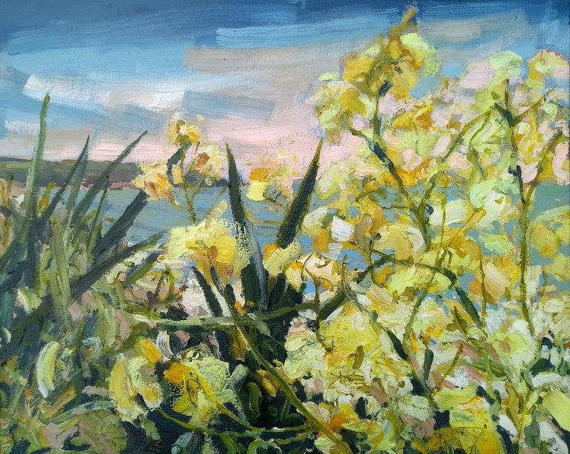 Small oil painting by Jill Hudson, Cornwall artist of yellow flowers with a glimpse of sea and Rame Head in the background