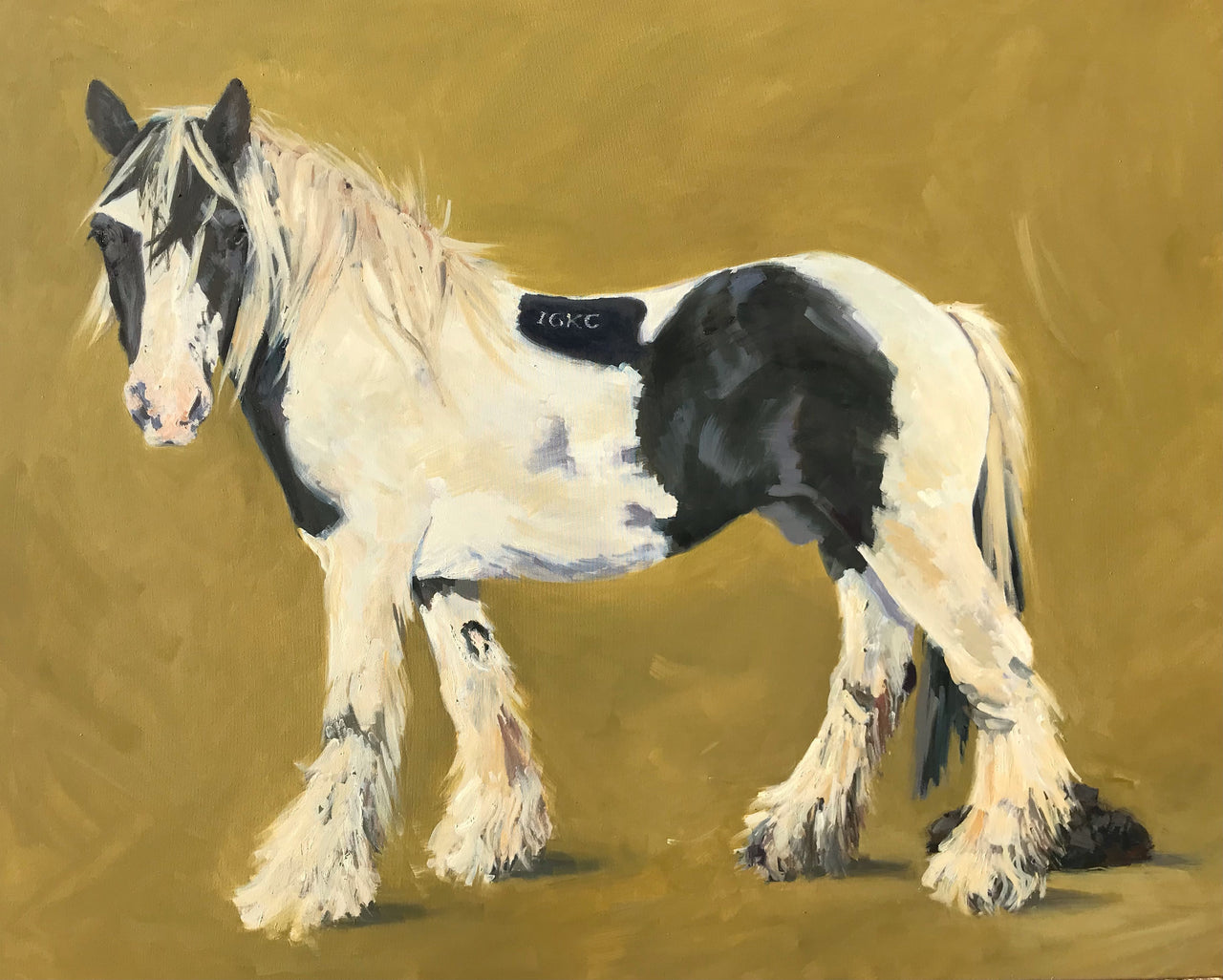 painting of a black and white Gypsy Cob horse by Jill Hudson